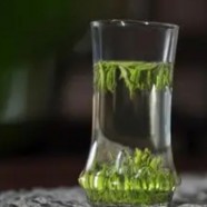 安吉白茶放了6年还能喝吗