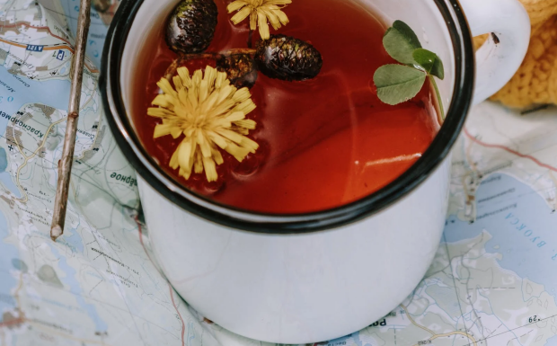 喝菊花茶6大害处是什么