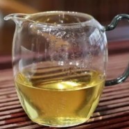 千岛玉叶茶是什么茶