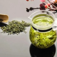 天山绿茶的产地历史