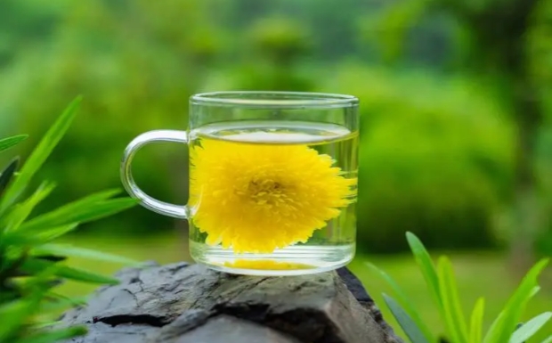 天山绿茶炒青制作工艺.jpg 天山绿茶炒青制作工艺.jpg