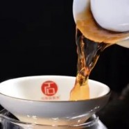 桐庐天尊贡芽的生态环境