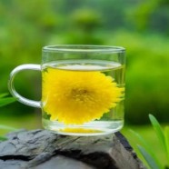 天山绿茶炒青制作工艺