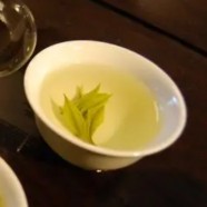 敬亭绿雪茶冲泡时间