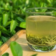 三种人不宜喝安吉白茶