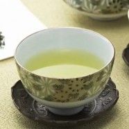 上饶白眉如何