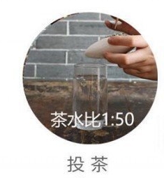 蒙顶甘露的冲泡方法3.jpg