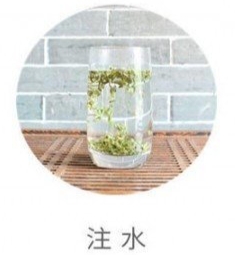 蒙顶甘露的冲泡方法5.jpg