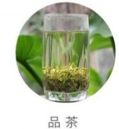 蒙顶甘露的冲泡方法6.jpg