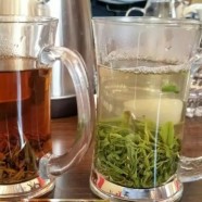 麻姑茶产地分布