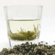 惠明茶生产情况