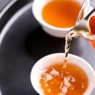 建德苞茶产地条件