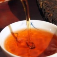 雨花茶品茗指南