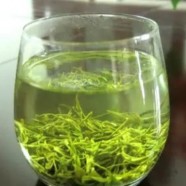 永川秀芽价值功能