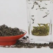 肠胃不好可以喝仙人掌茶吗