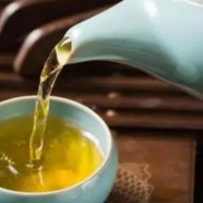 麻姑茶生物学特征