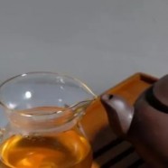 都匀毛尖质量技术要求