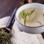 鸠坑毛尖生态环境