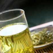绿春玛玉茶茶叶分类