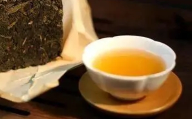 金坛雀舌属于什么茶