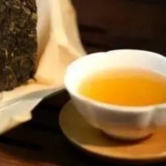 金坛雀舌属于什么茶