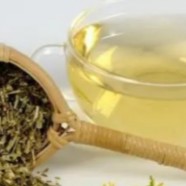 建德苞茶价值功能