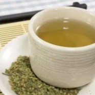 古丈毛尖储存方法