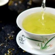 安吉白片生长环境