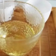 宝洪茶采摘时间