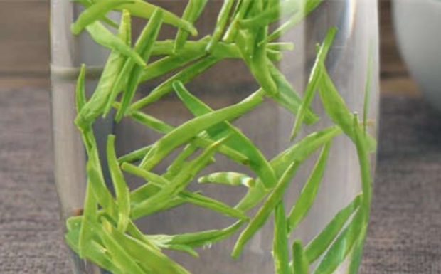 蒲江雀舌是什么茶.jpg 蒲江雀舌是什么茶.jpg