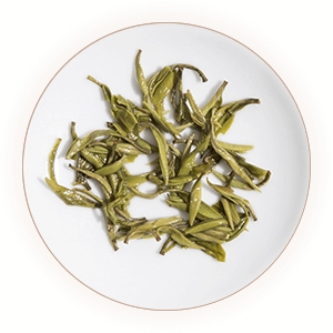 惠明茶的叶底.jpg 惠明茶的叶底.jpg