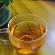 都匀毛尖历史文化