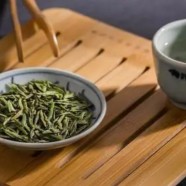 上饶白眉主要品种