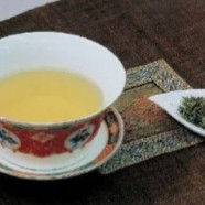 桐庐天尊贡芽喝过吗
