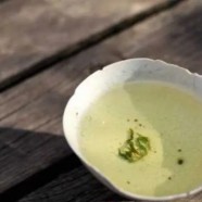 仙人掌茶主要功效