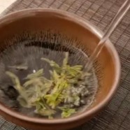 长兴紫笋茶属于什么茶