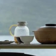 黄金芽茶叶产地及价格