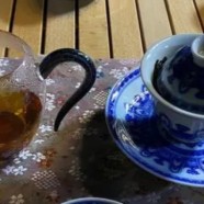 金坛雀舌怎么泡
