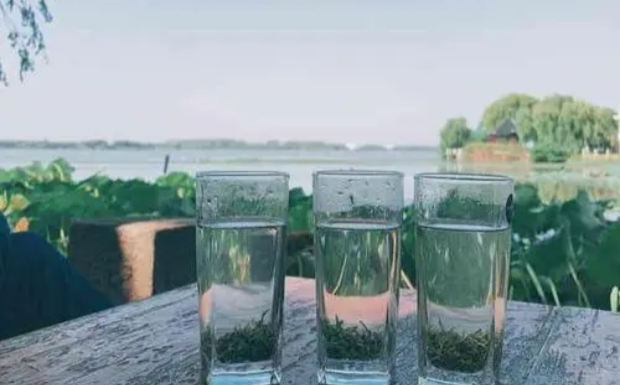 滇青茶的功效与作用.jpg