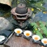 峨眉雪芽的功效与作用