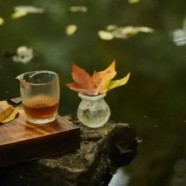 桂林毛尖茶哪家最正宗