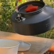 金坛雀舌茶多少钱一斤