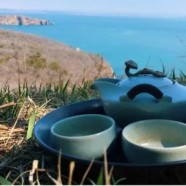 竹叶青茶外形