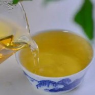 仙人掌茶价值功能是什么
