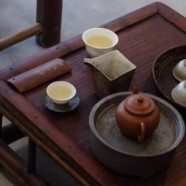 金坛雀舌茶叶是什么茶