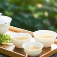 普陀佛茶的主要功效作用