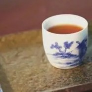 桐庐天尊贡芽生态环境