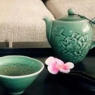 桐城小花生产情况