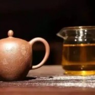 双桥毛尖品茗指南