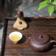 上饶白眉价值功能